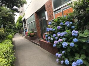 IMG_0686