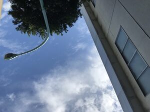 IMG_0948